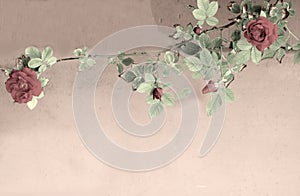 Pink roses curling against a wall of grey brick