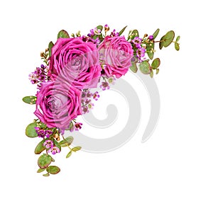 Pink roses, eucalyptus green leaves and chamelaucium flowers in a corner floral arrangement isolated on white