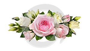 Pink roses and eustoma (Lisianthus) flowers in a floral arrangement isolated