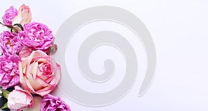 Pink roses in a festive bouquet on a white background. Delicate floral arrangement.