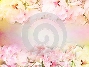 pink roses flower border and frame in vintage color for valentine background