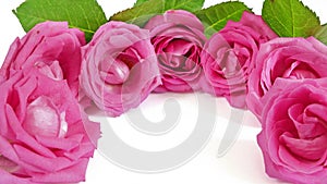 Pink Roses flowers bouquet isolated on white background. Frame for your ads with copy space