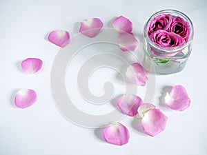 Pink Roses flowers bouquet in vase and rose petals on white background. Frame for your ads with copy space, Top view