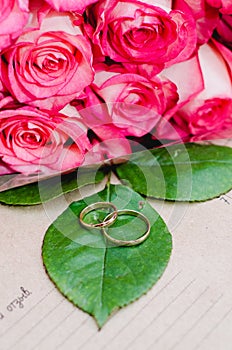 Pink roses flowers and wedding rings on green leaf, craft background