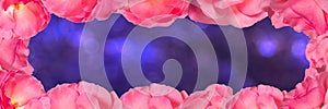 Pink roses frame banner, bokeh background with copy space.