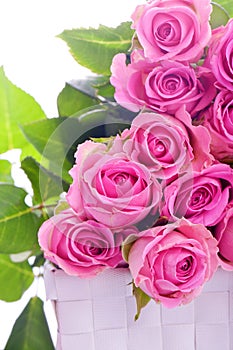 Pink roses in a gift box