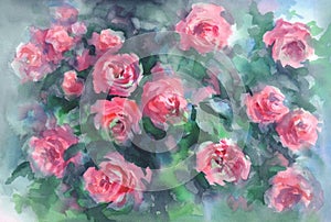 Pink roses in green background watercolor