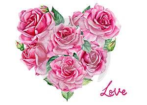 Pink roses, Heart of flower on white background, watercolor illustration, valentine's day