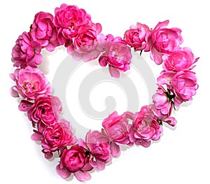 Pink roses Heart shape.on white background.Rose is a flower symbol represents love, romance in Valentines Day