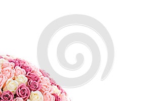 Pink roses isolated on white background. Flowers for congratulations. Copy space