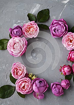 Pink roses lie on gray concrete background. Place for greeting text