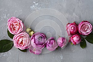 Pink roses lie on gray concrete background. Place for greeting text