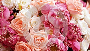 Růžový růže a lotosy květina Valentýn kopírovat lázně 