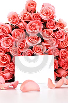 Pink roses with note paper