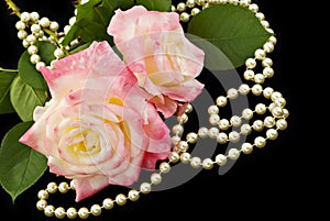 Pink Roses and Pearls