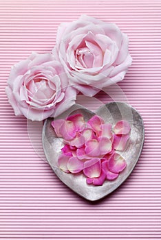 Pink Roses and petals pink background