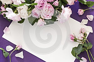 Pink roses on a purple background, place for an inscription