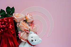 Pink roses in red gift box with white teddy bear doll on pink background