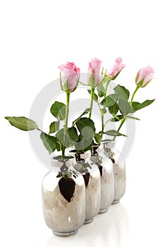 Pink roses in silver vases