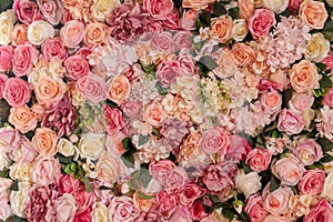 Pink roses texture background