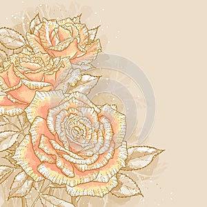 Pink roses on toned background