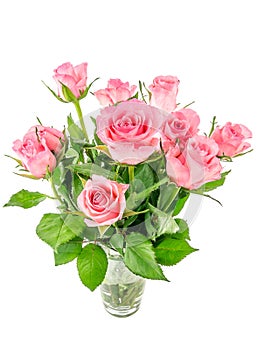 Pink Roses in a Vase