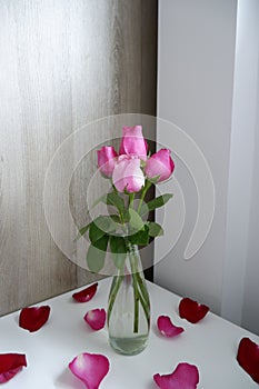 Pink roses in a vase on a white table are beautifully decorated with red and pink rose petals all around.