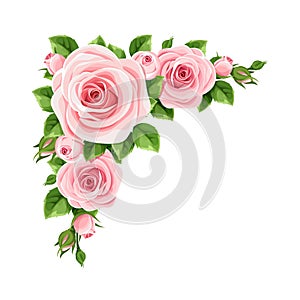 Pink roses. Vector corner background.