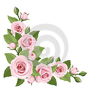 Pink roses. Vector corner background.