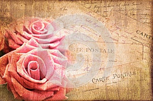 Pink roses, vintage postcard on textured background