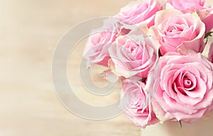 Pink roses vintage style closed up flower buds and petals