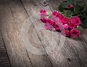 Ružový ruže na drevený 