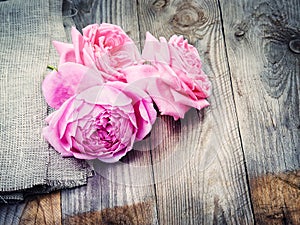 Pink roses on wooden background in vintage style