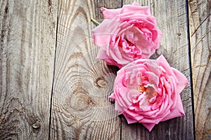 Pink roses on wooden background in vintage style