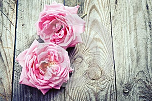 Pink roses on wooden background in vintage style