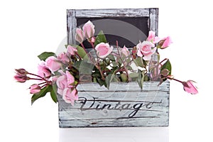 Pink roses in a wooden planter photo