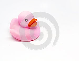 Pink rubber duck with orange beak isolated on a white background