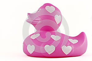 Pink rubber ducky