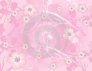 Pink sakura background