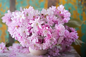 Pink sakura - cherry blossoms flowers vase still life