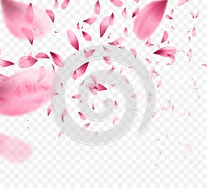 Pink sakura falling petals background. Vector illustration photo