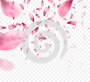 Pink sakura falling petals background. Vector illustration