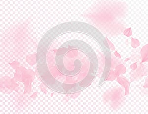 Pink sakura flower falling petals vector transparent background. 3D romantic valentines day illustration. Spring tender light