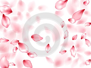 Pink sakura flower flying petals isolated on white vector background.