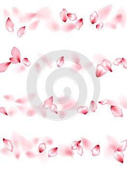 Pink sakura flower flying petals isolated on white vector background.