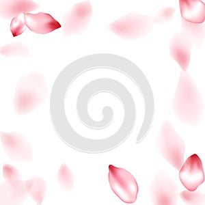 Pink sakura flower flying petals isolated on white vector background.