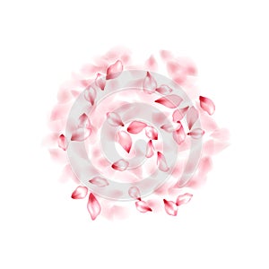 Pink sakura flower flying petals isolated on white vector background.