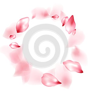 Pink sakura flower flying petals isolated on white vector background.