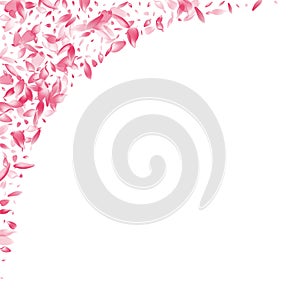 Pink Sakura Petal Vector White Background. Pastel