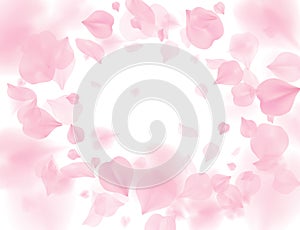 Pink sakura petals falling flower vector background. Romantic blossom isolated on white background. Overlay Valentines 3D